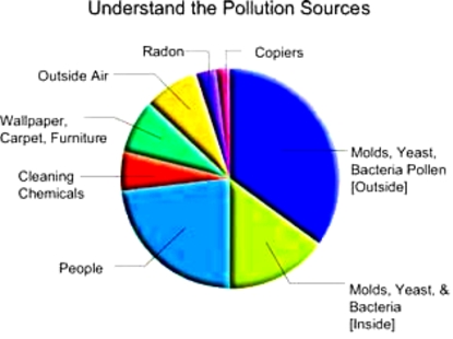 thesis environmental issues thesis environmental issues