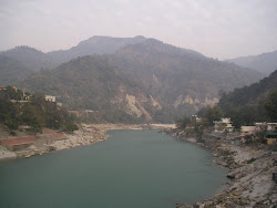 ganga, risikesh