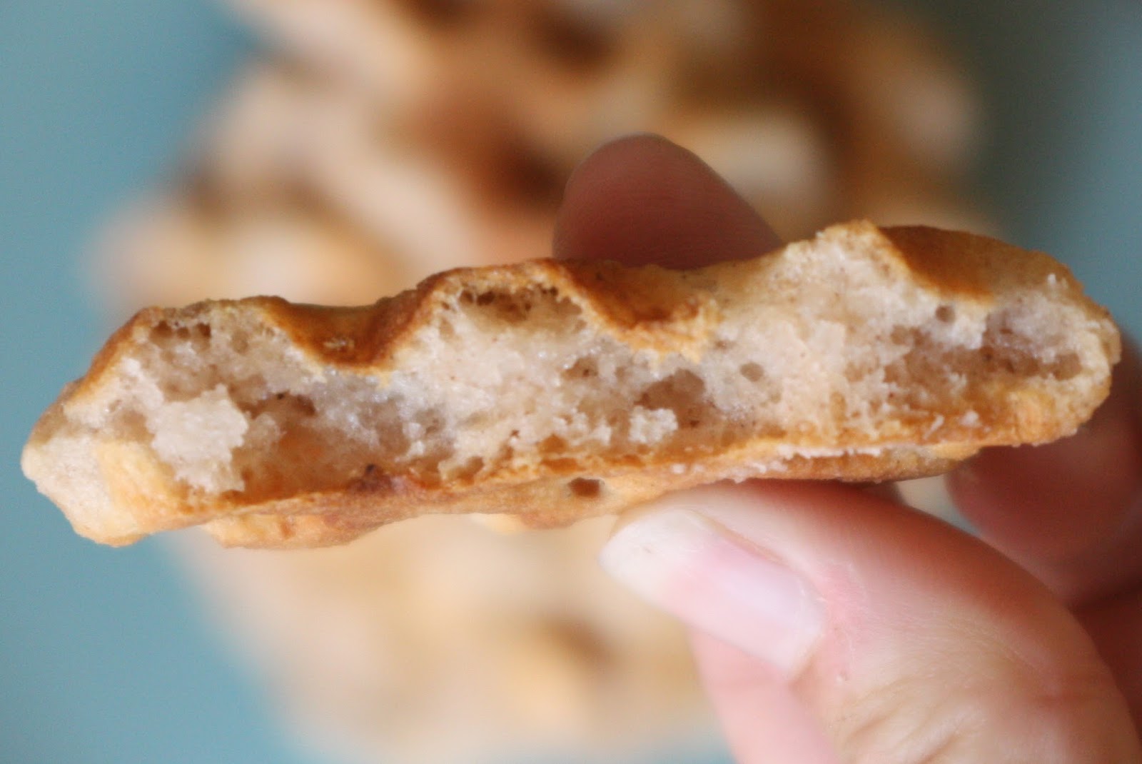 NoEgg Waffles (AIP, CoconutFree, Paleo, Vegan) Don't Eat the Spatula