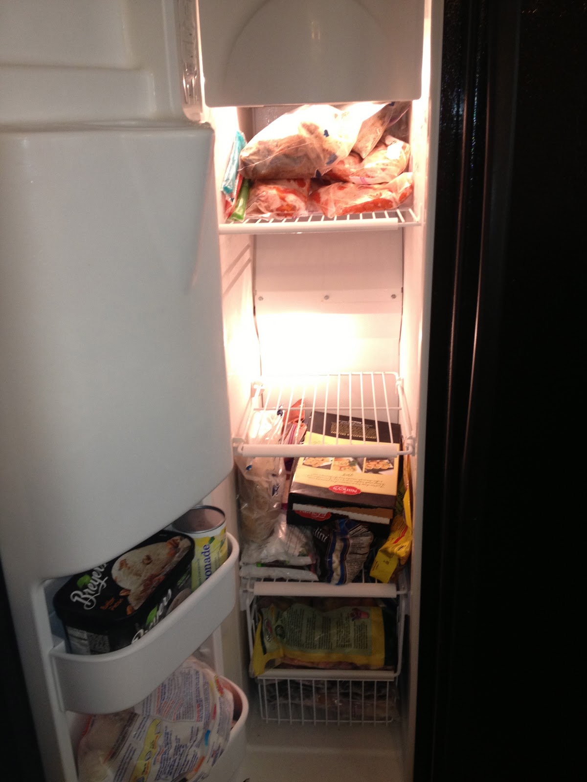 3595 Freezer Inventory List