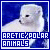 I like arctic animals