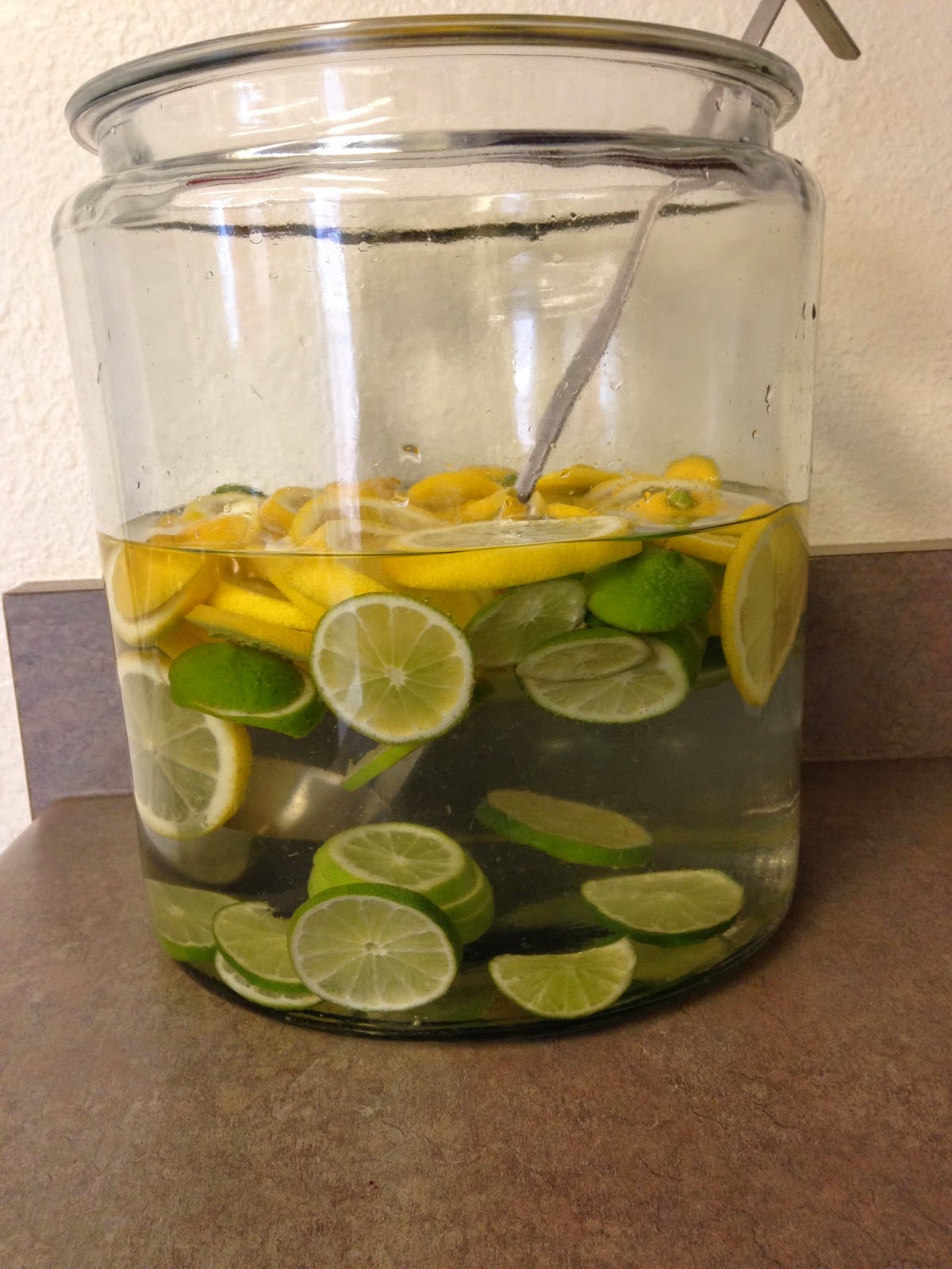menu managed: Citrus Water Punch