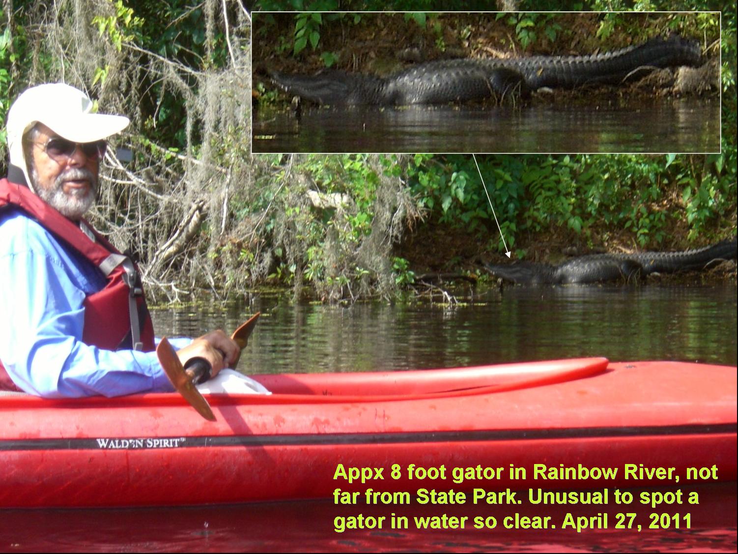 Electrical Audio • View topic Would you Go canoeing in the presence