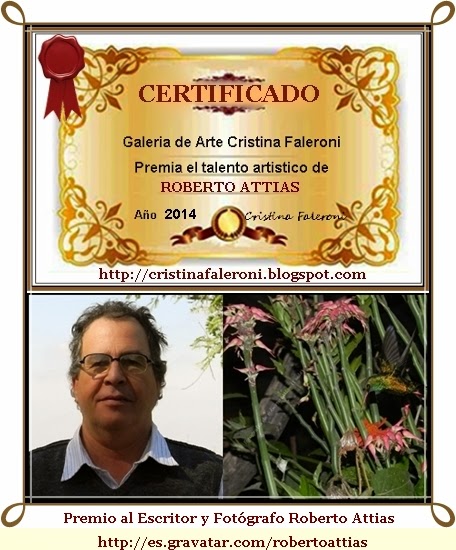 Roberto Attias - Premio