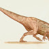 Neovenatoridae
