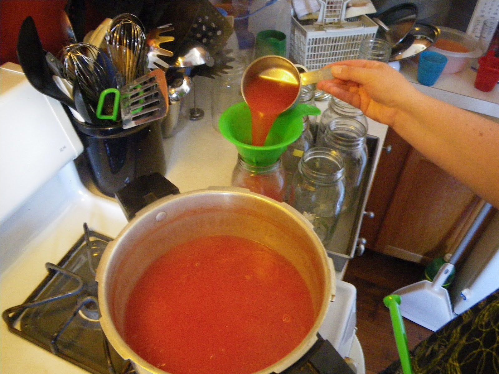 Mom in Shining Armor Adventures in Canning Tomato Juice