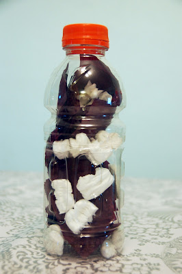 The Almost Perfectionist: Science Discovery Bottles