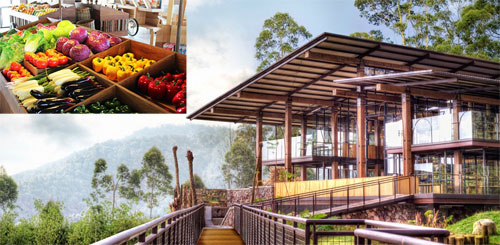 Pasar Khatulistiwa Dusun Bambu Pasar Khatulistiwa Dusun Bambu