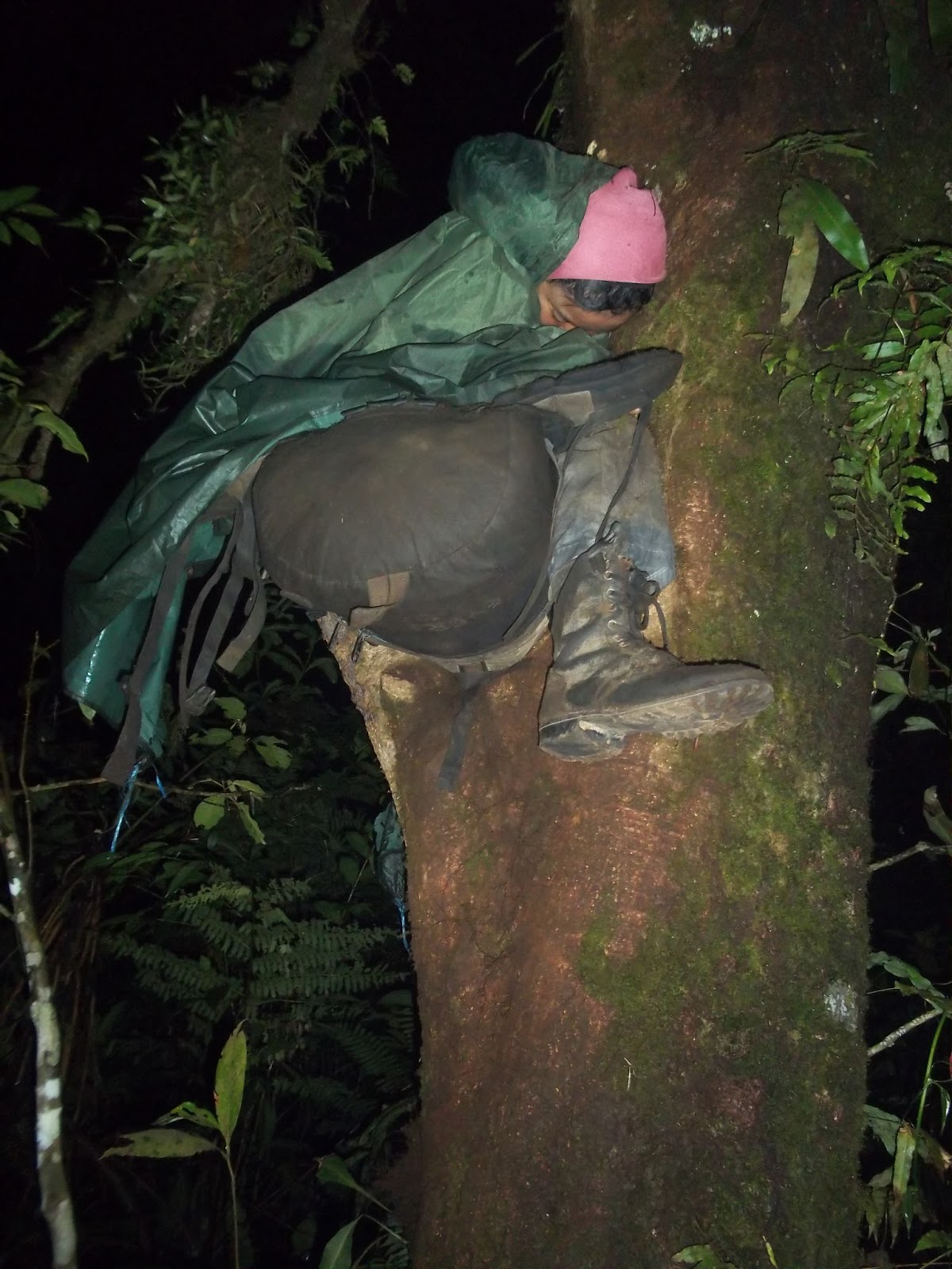 SAPUJAGAT: Teknik Tidur Kalong