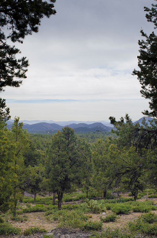 david schacher photography, llc blog Payson, AZ & Rim Country