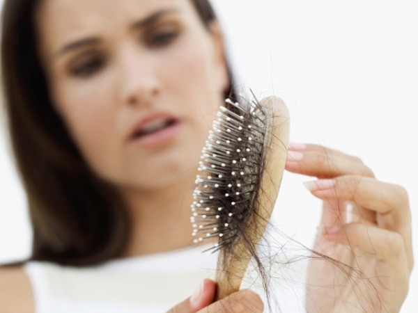 Hair Loss In Miniature Pinschers : Male Hair Loss Treatments To The Extreme