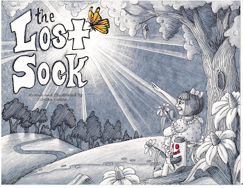 Lost Sock, the book