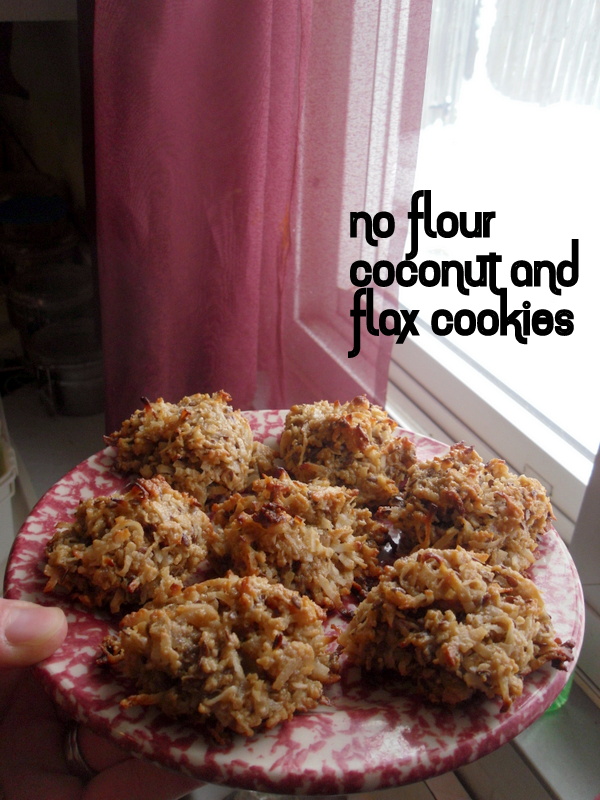 time flies when you're having babies No flour coconut and flax cookies