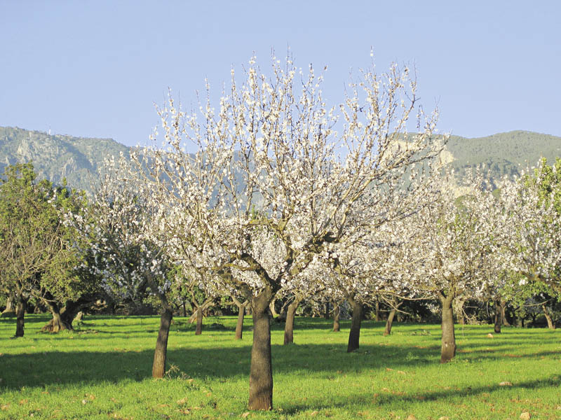 September 2018 Cuxhaven News