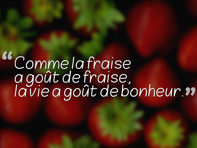 citation bonheur citation bonheur