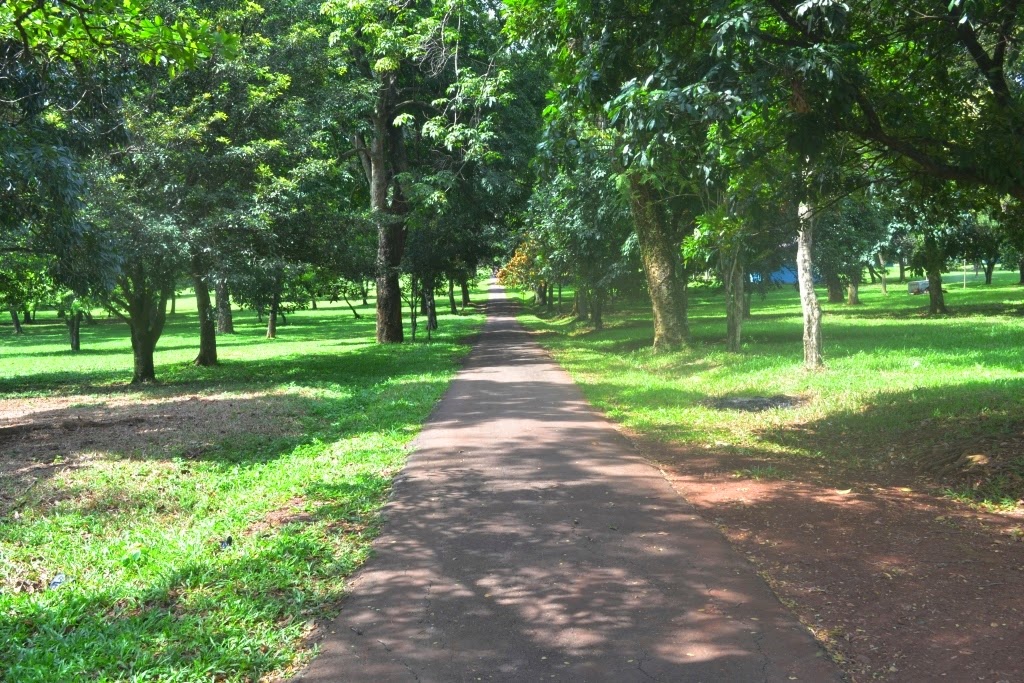 Jejak Pena Pemula: Ngadem di Kawasan Buperta Cibubur