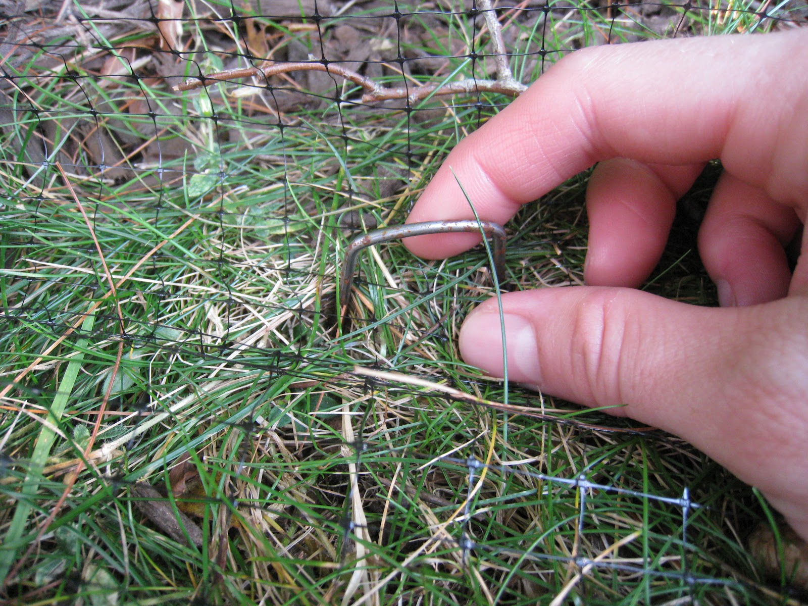 My &ldquo;Type-A&rdquo; DIY Projects: Blueberry Bush Net