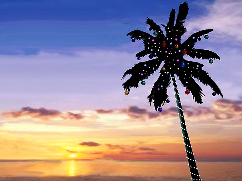 Online Travelers Guide It’s Time for A Sunny Christmas Vacation!