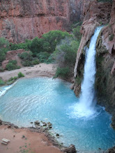 Havasupai