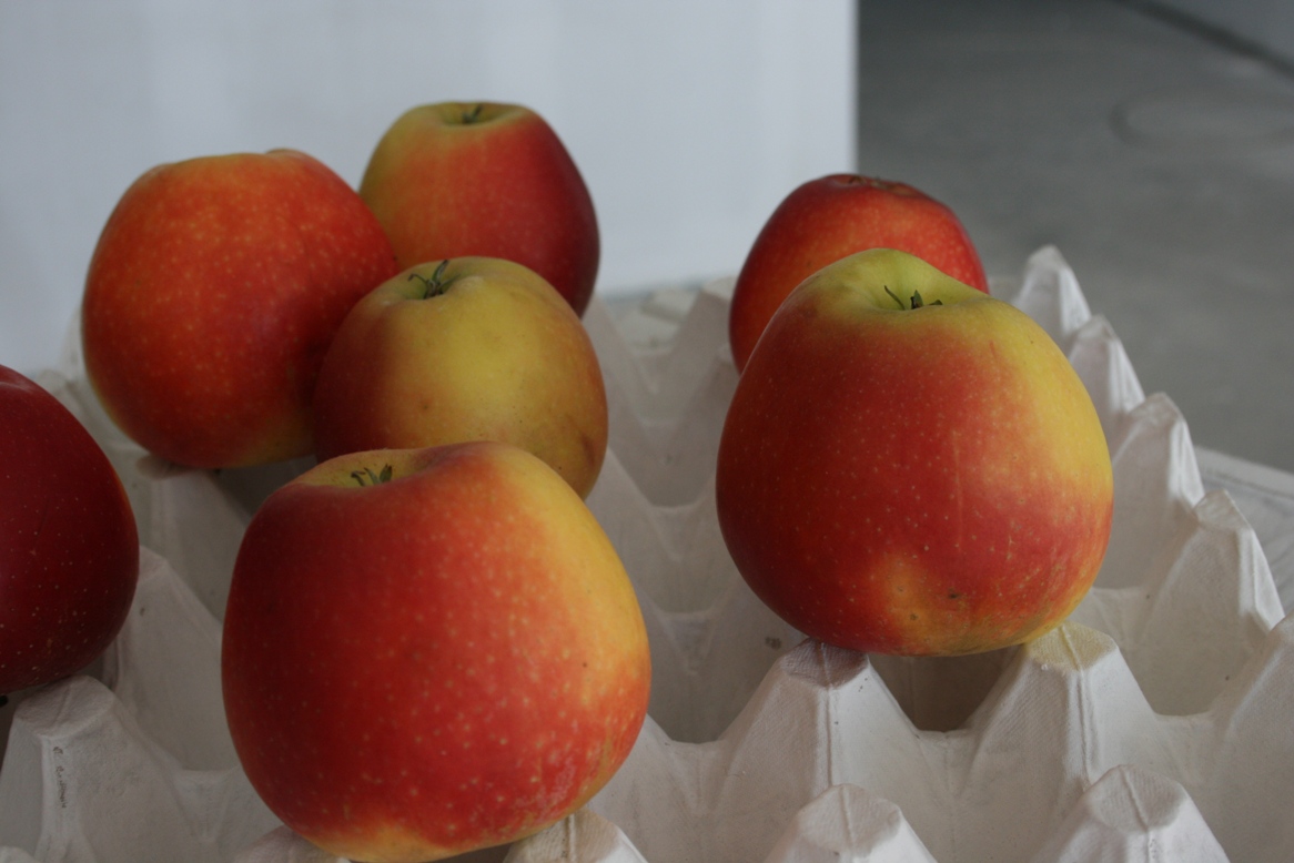 mojabudowa.pl - blog budowlany