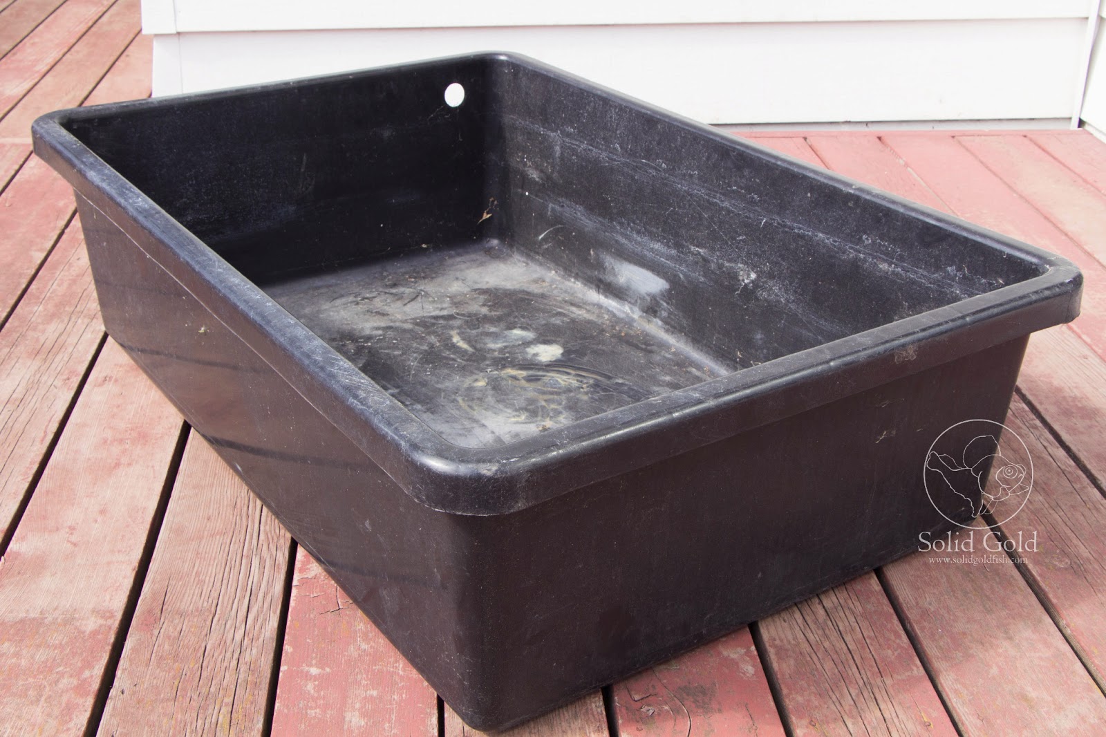 Laguna 60 Gallon Tub Before & After Solid Gold Aquatics