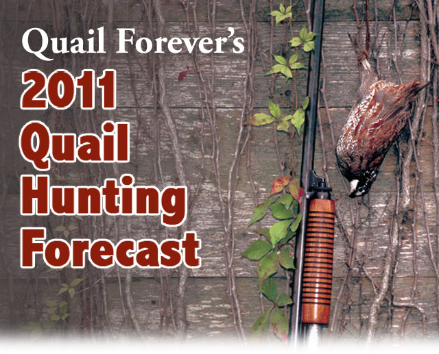 BirdHuntingBlog.com: 2011 Quail Hunting Forcast