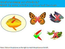 The Parts of the Body of Animals The Parts of the Body of Animals - Interactive Science Lesson Module