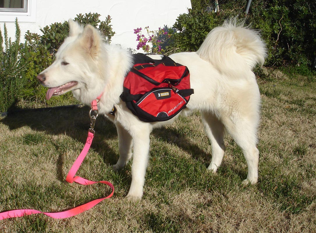 The Girl with the Gae Ruffwear Dog Packs