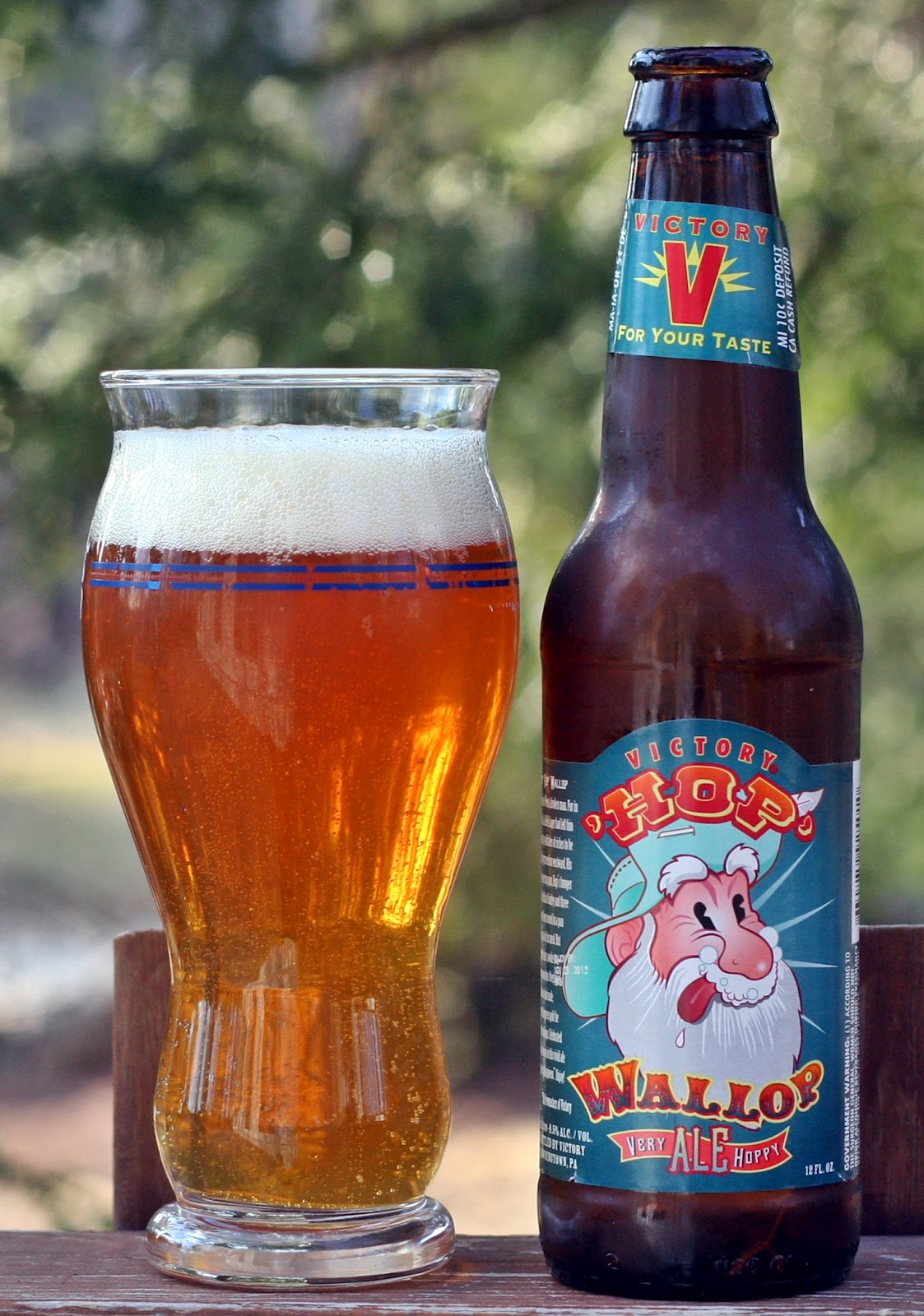 Double IPA Insurance Guy Beer Blog Part 12