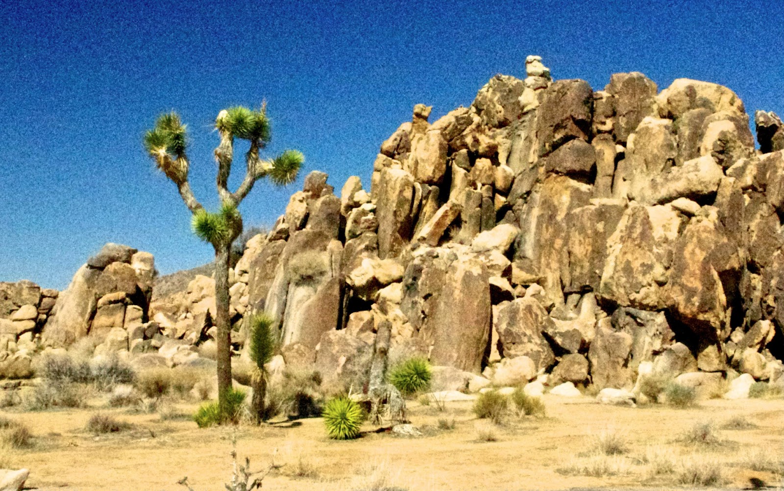 Champagne Wishes and RV Dreams Kicking back in Desert Hot Springs...