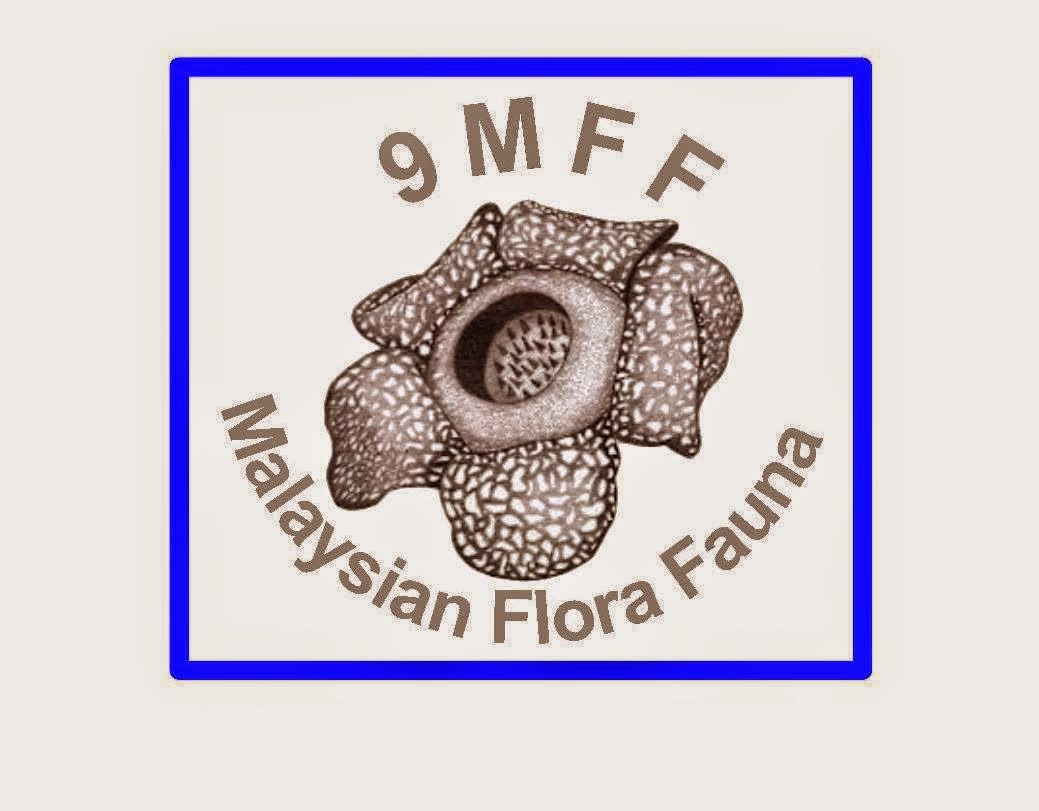 MALAYSIA WORLDWIDE FLORA FAUNA 9MFF