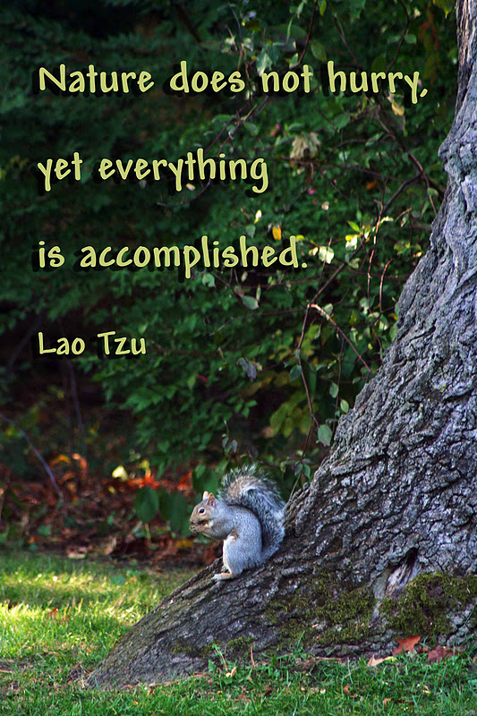 LilyFashion Quote Garden Nature