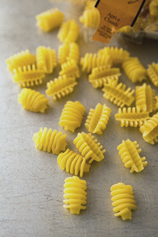 Milk and Honey Radiatori with Roasted Pepper Pesto