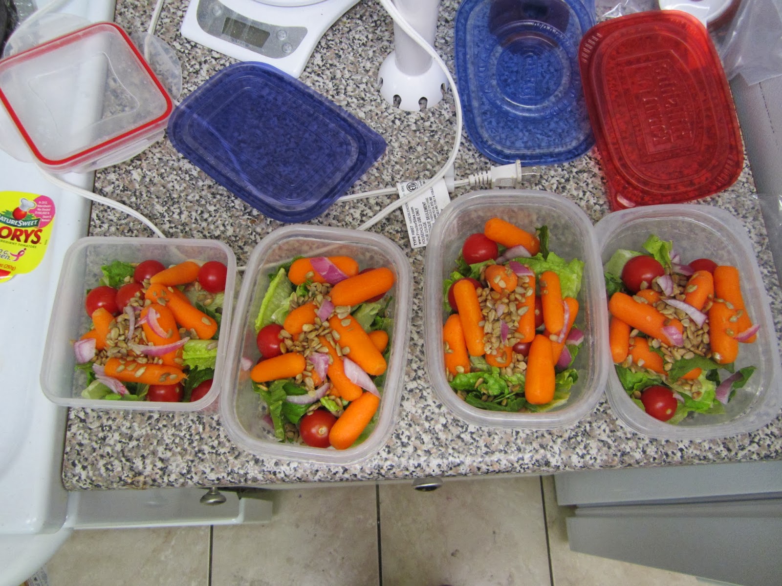 Elisa's beautiful life Premade Salads and Life Lessons