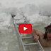 Manliest Canadian I Ever Did See