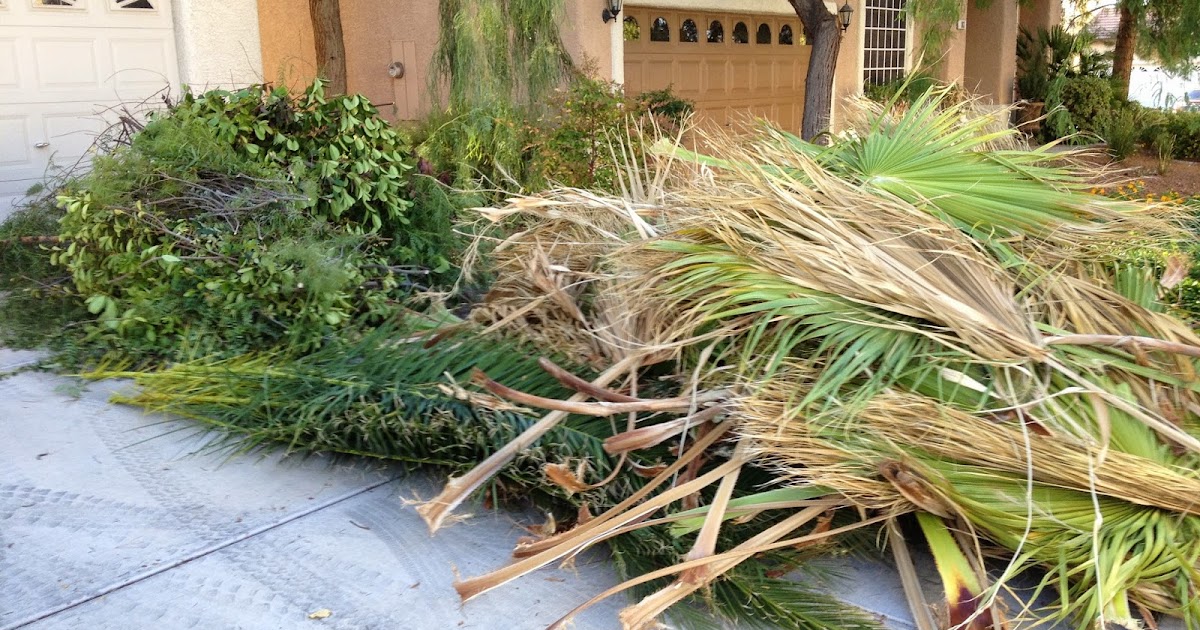 The Pick Up Artist Junk Removal 702-600-6994: Yard Debris Removal