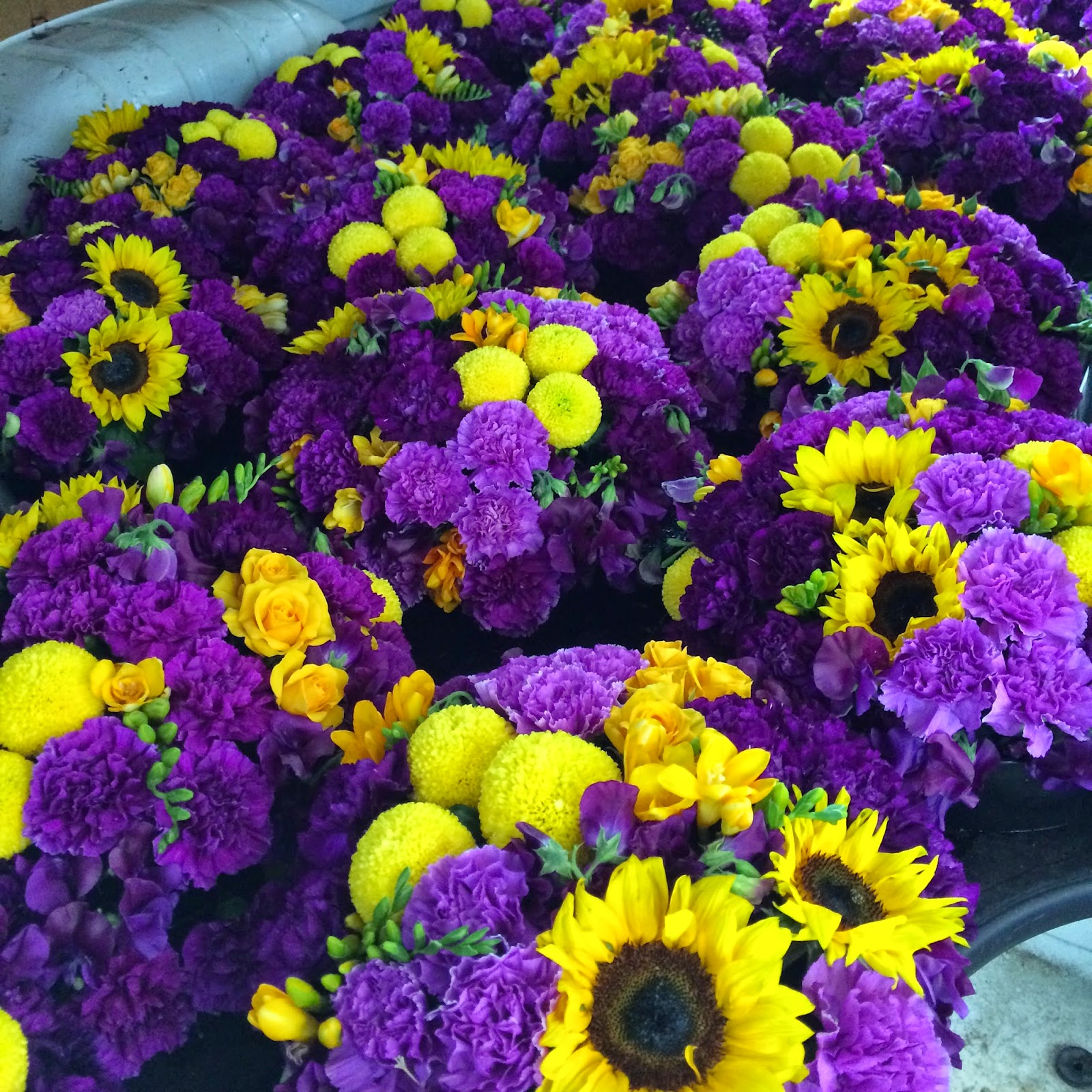 Urban Flower Foodbank Australia Event