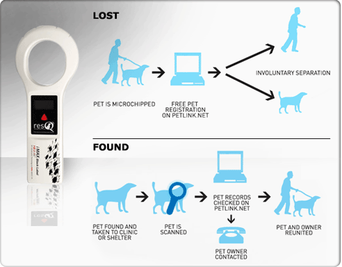 what is a microchip for dogs breed directory superior gps microchip for dogs what is a microchip for dogs breed directory superior gps microchip for dogs
