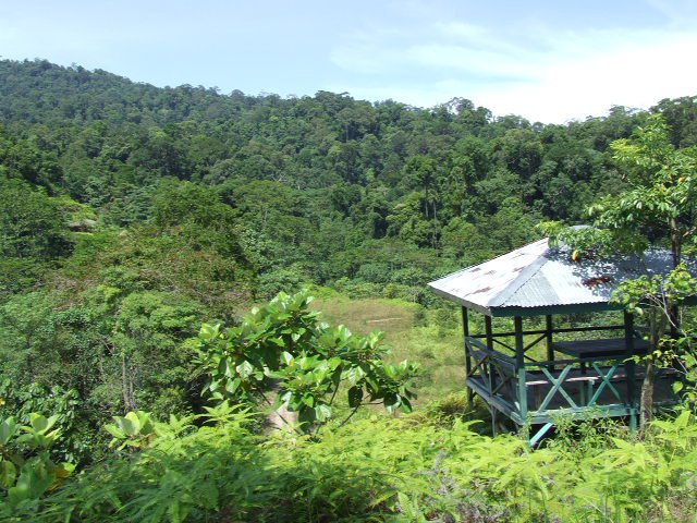 Objek Wisata Indragiri Hulu Taman Nasional Bukit Tiga Puluh