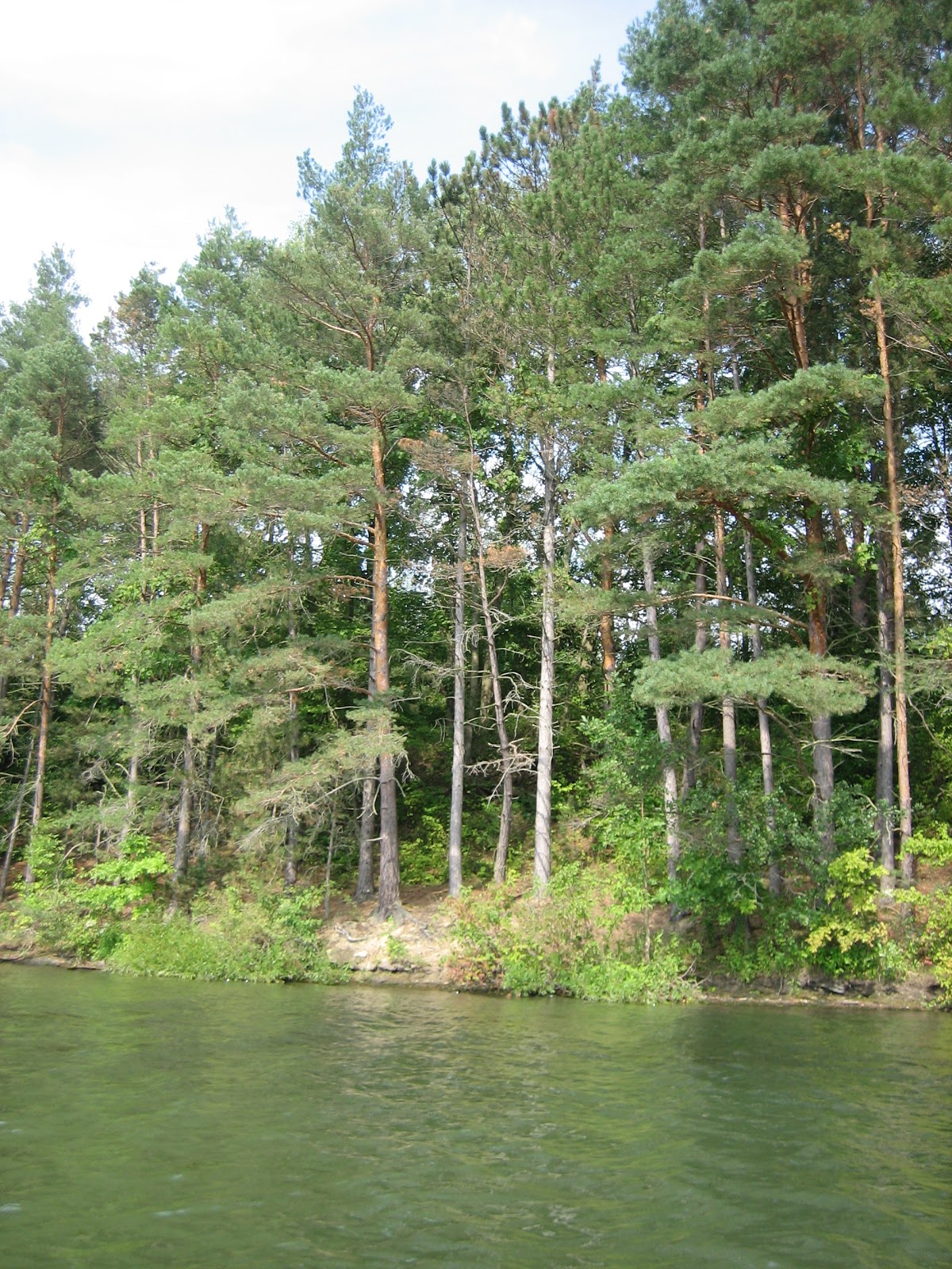 Pittsburgh's Nuances Lake Arthur, Moraine State Park 422 Boat Launch
