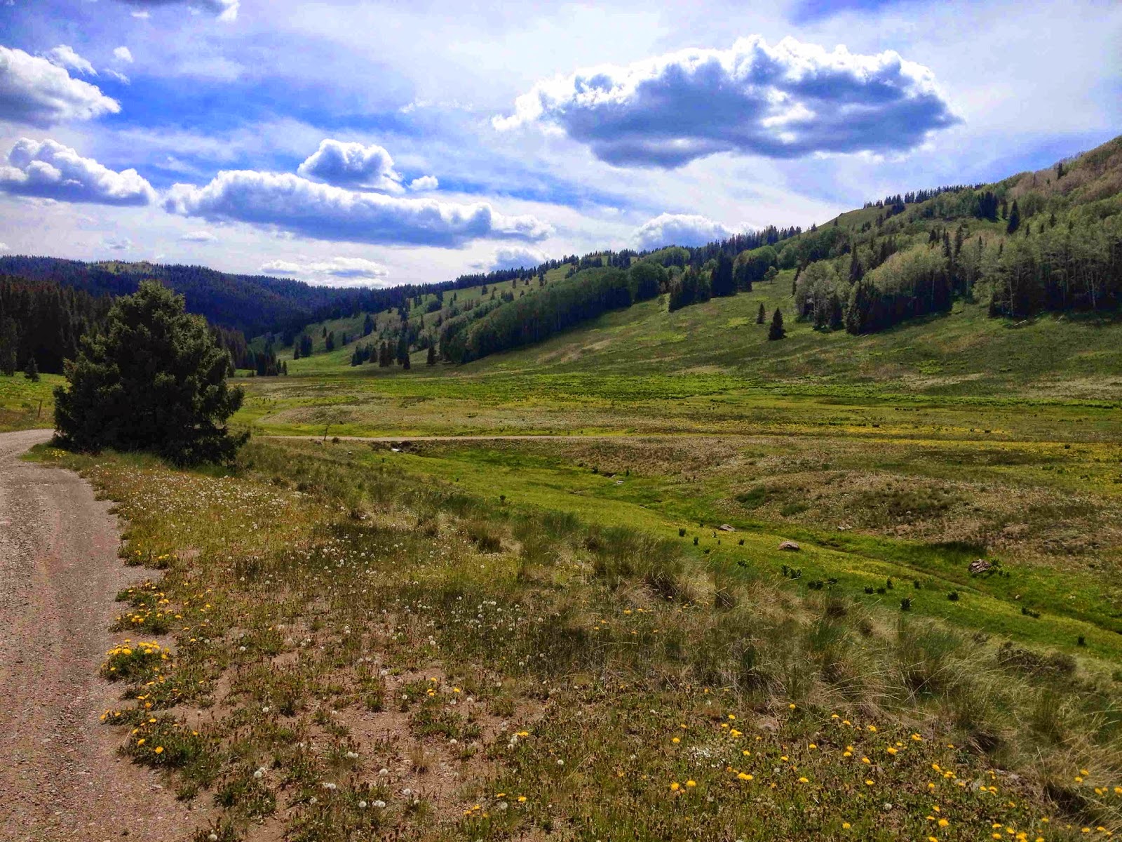 Rainbow's Rest Brazos Ridge, New Mexico and Horca, Colorado