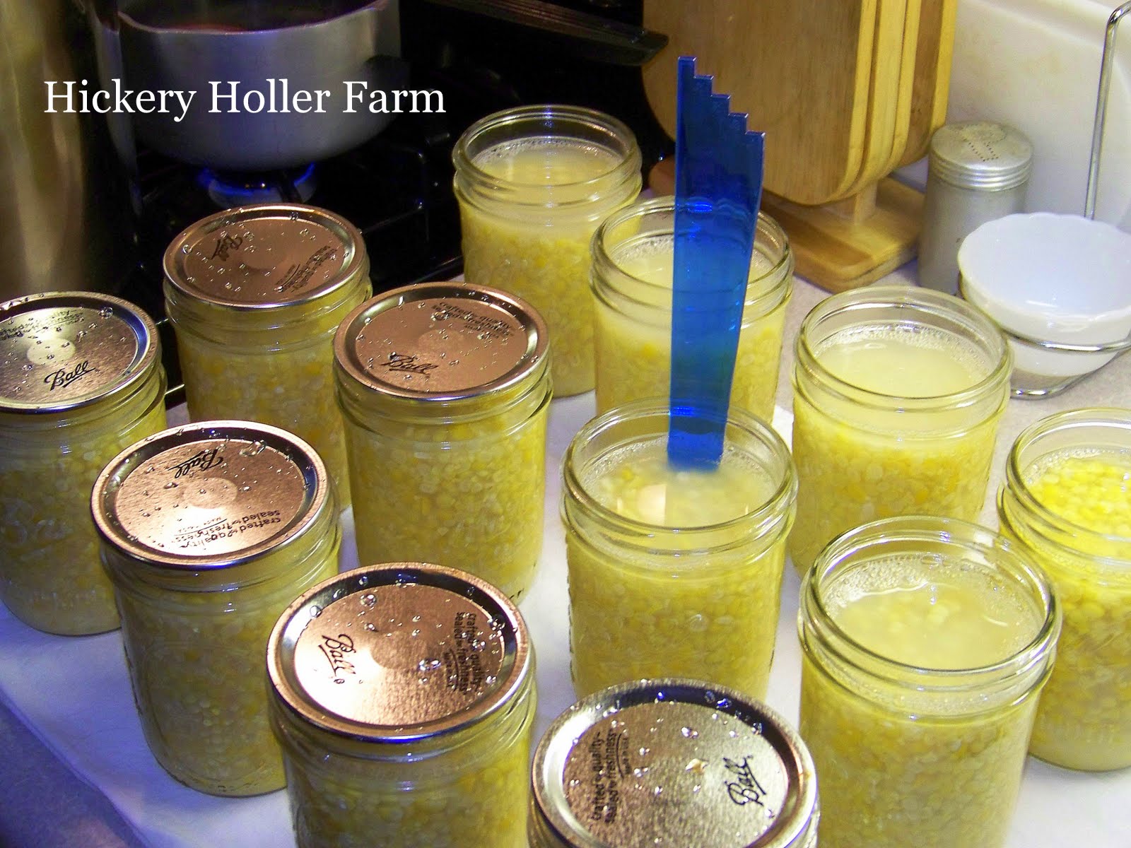 Hickery Holler Farm Canning Corn