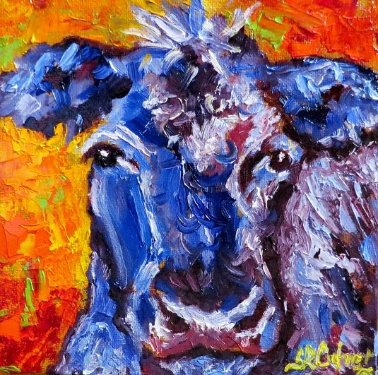 "Domino", a small cow portrait in oils