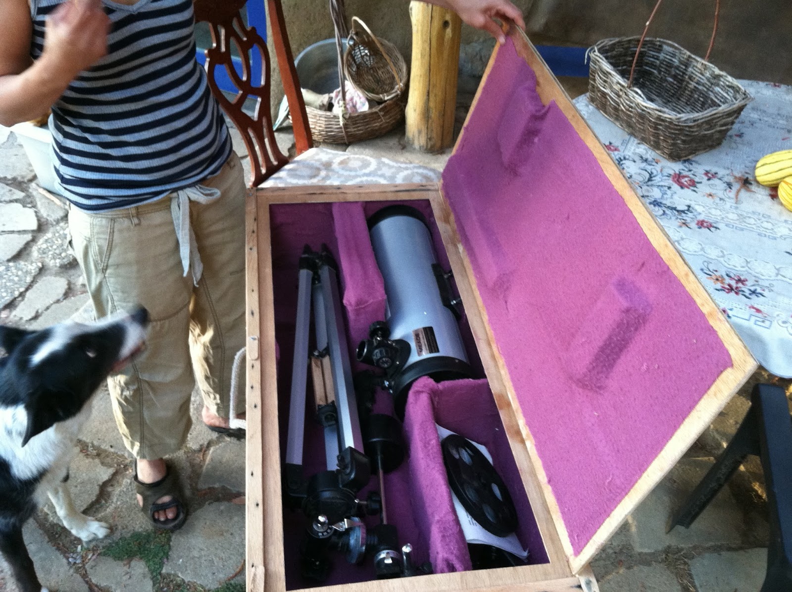 Journey in the Woods Telescope Storage Box