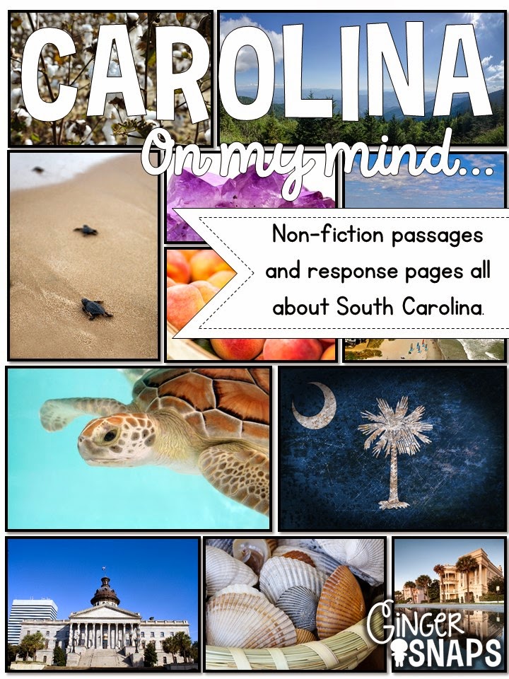 Ginger Snaps: Measuring Liquid Volume