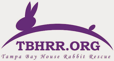 Tampa Bay House Rabbit Rescue