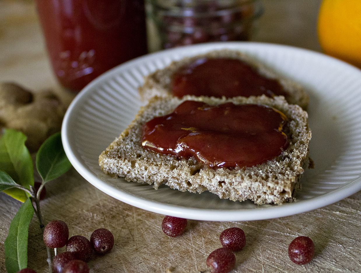 Rurification Autumn Olive Ginger Orange Jam