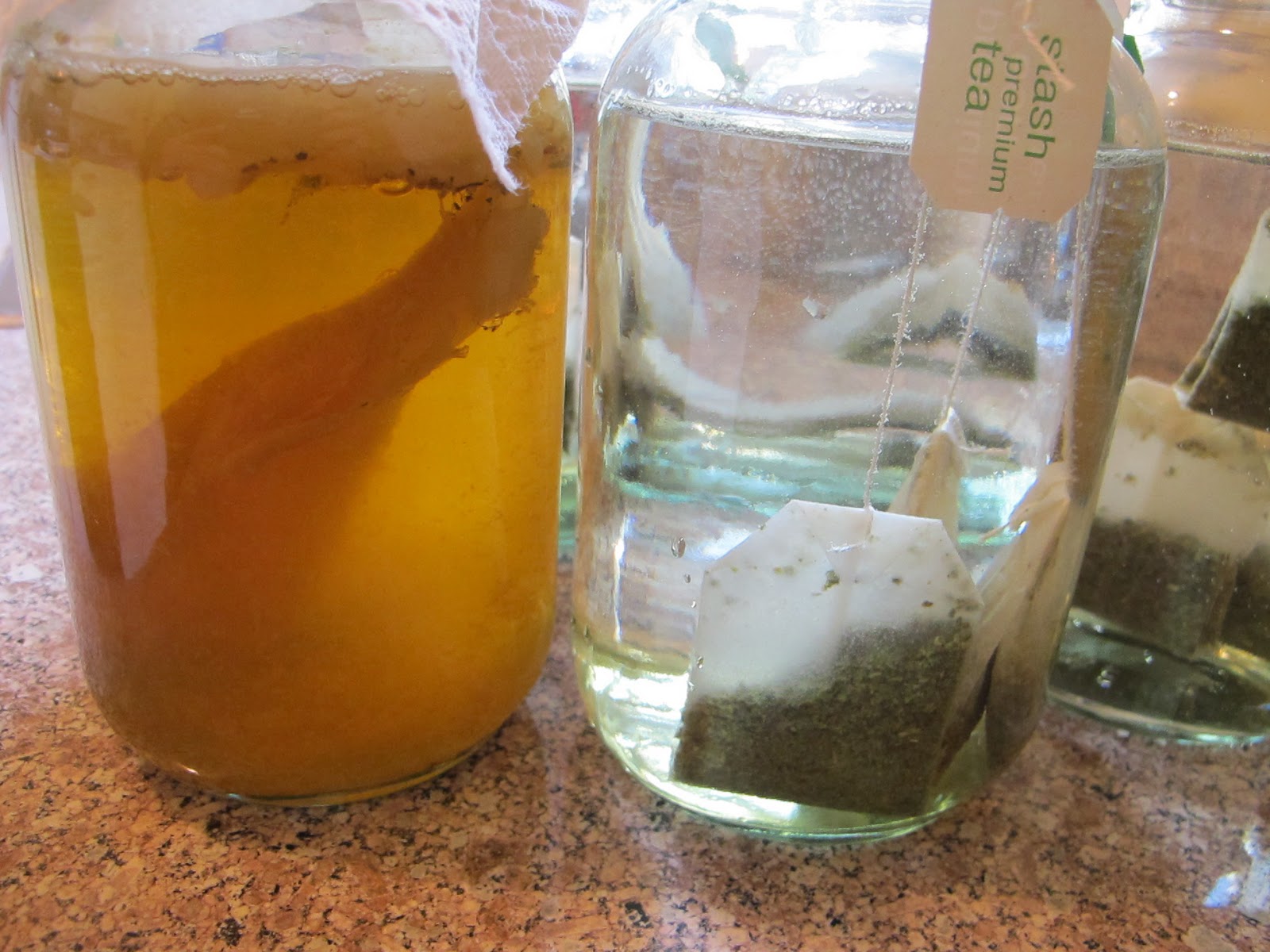 Making Kombucha at Home is Easy Munchie Musings