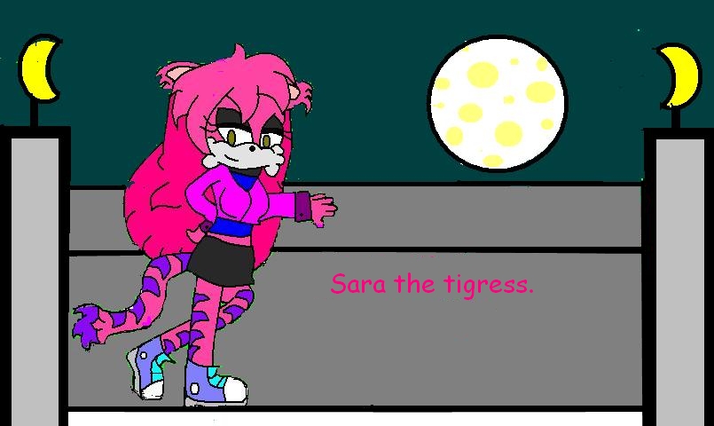 Sara the tigress