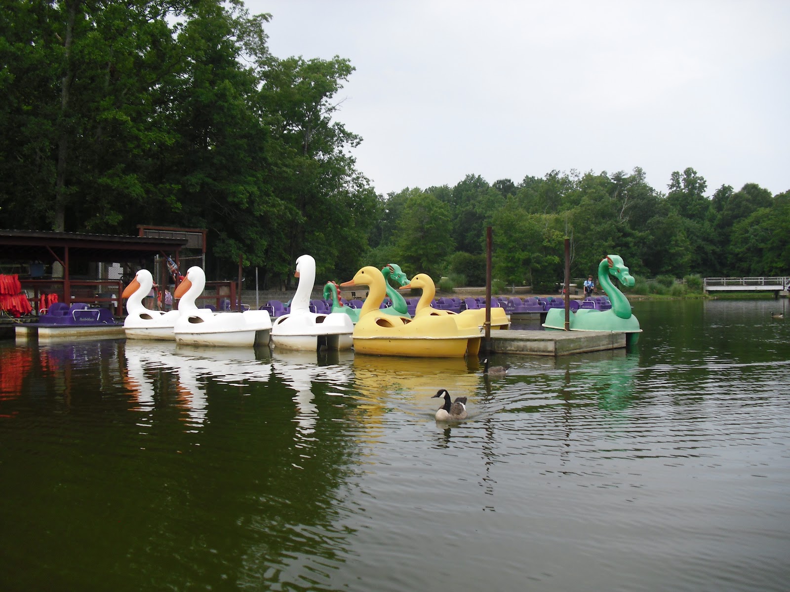 Travel NC With Kids Dan Nicholas Park in NC Has Wide Variety of Water Fun